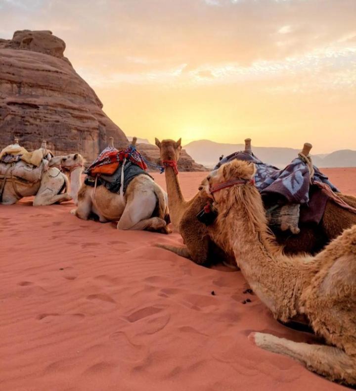 Wadi Rum Nature Exterior photo