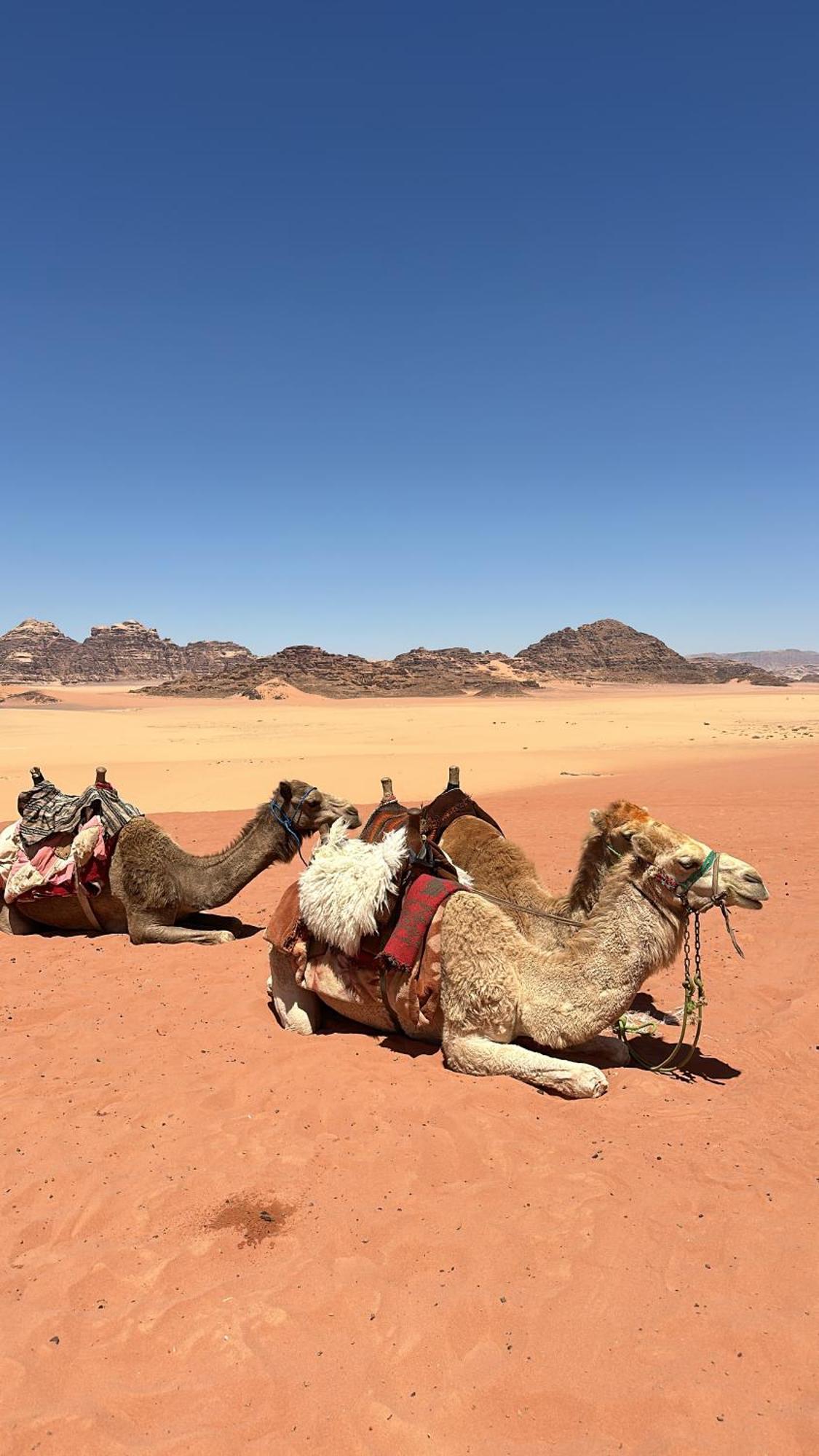 Wadi Rum Nature Exterior photo