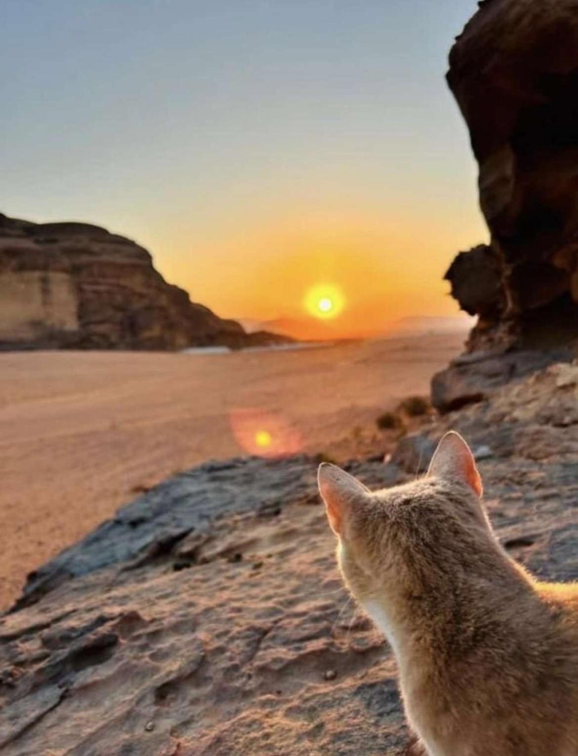 Wadi Rum Nature Exterior photo